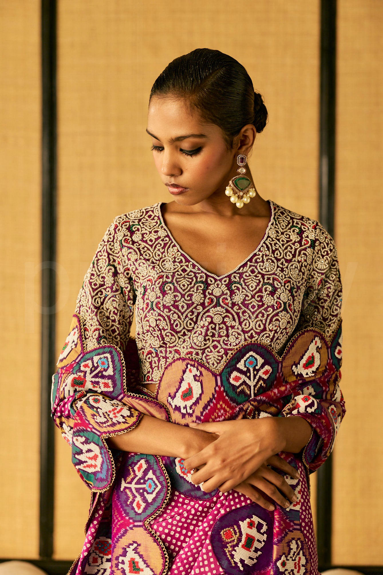 Bead Embroidery saree in Bandhej with Patola border & Embroidered Blouse