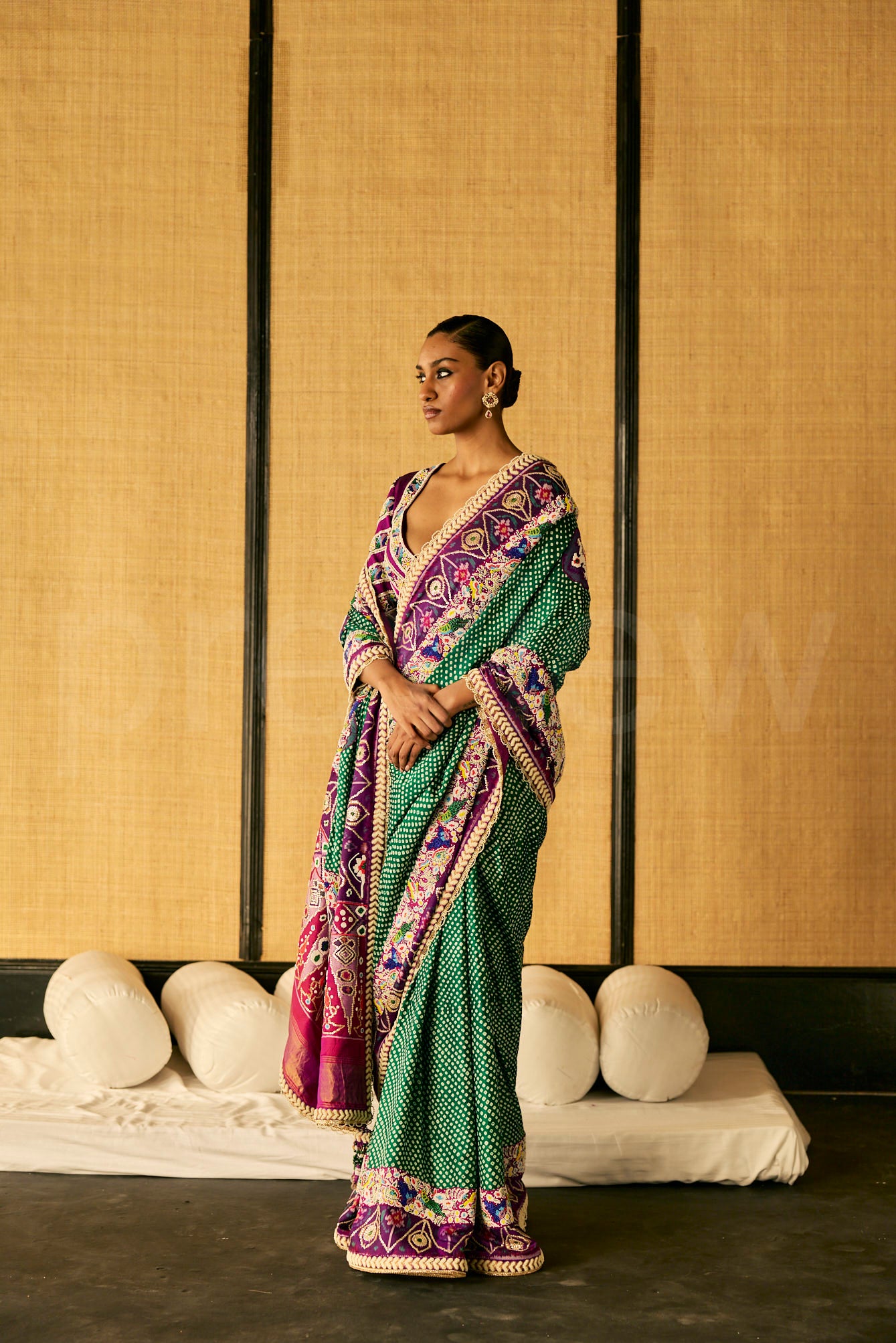 Bead Embroidery saree in Bandhej with Patola border & Embroidered Blouse