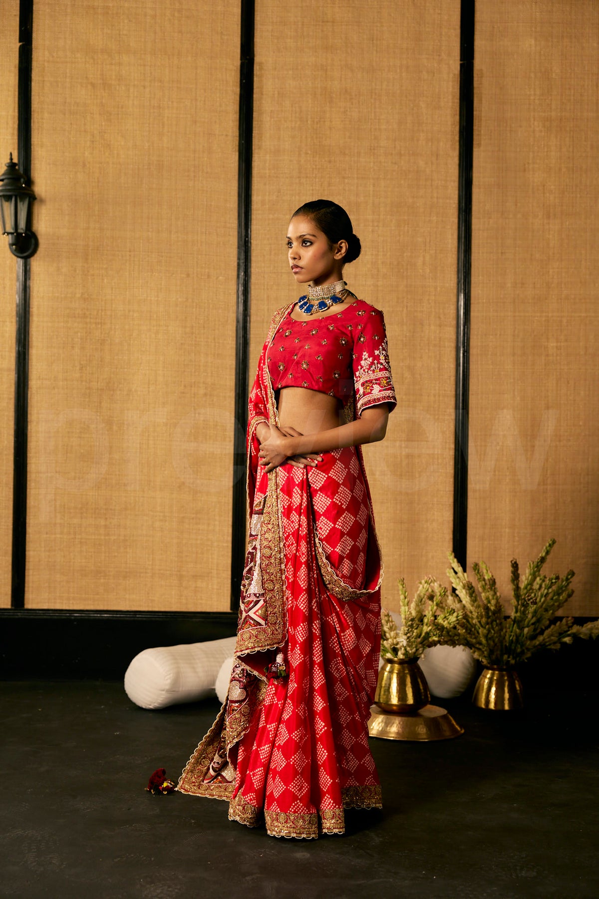 Bead Embroidery Red Badhej saree with Embroidered Blouse