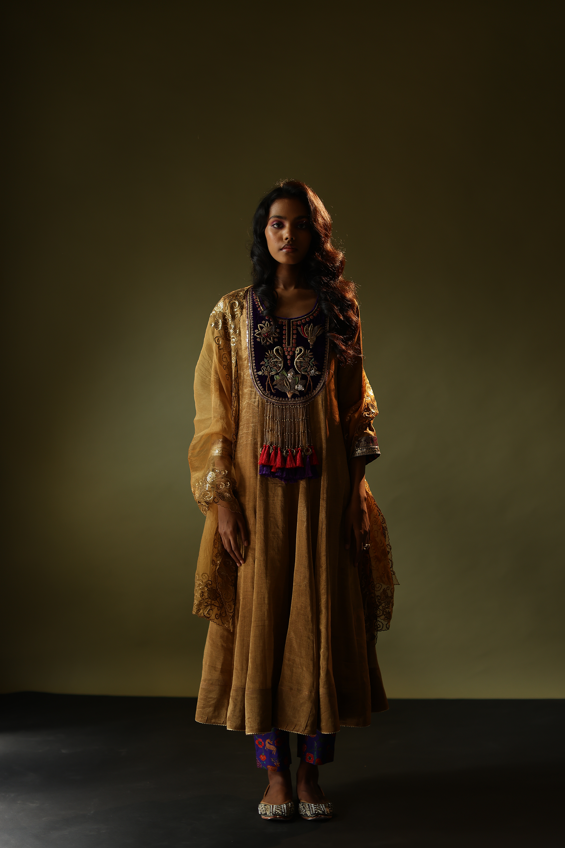 Gold Tissue Anarkali with Embroidered Velvet Yoke, Printed Pants & Dupatta