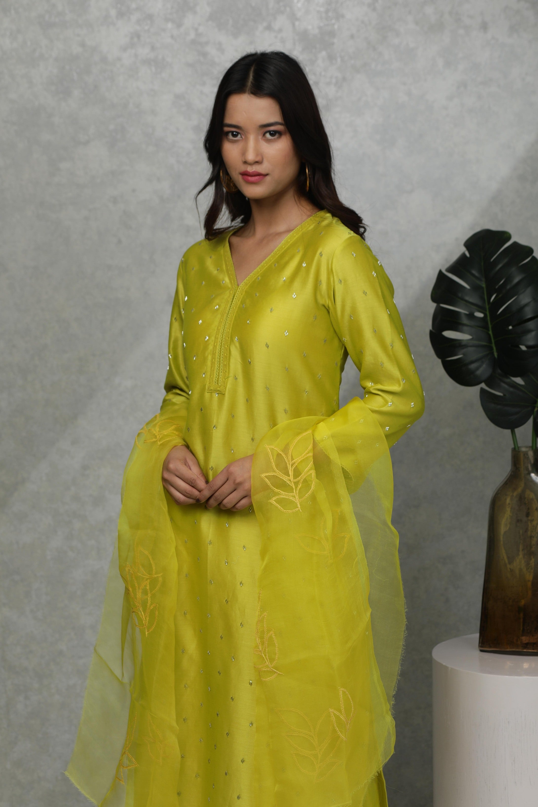 Festive kurta with Sequin and bead embroidery with handwoven pants & Organza dupatta